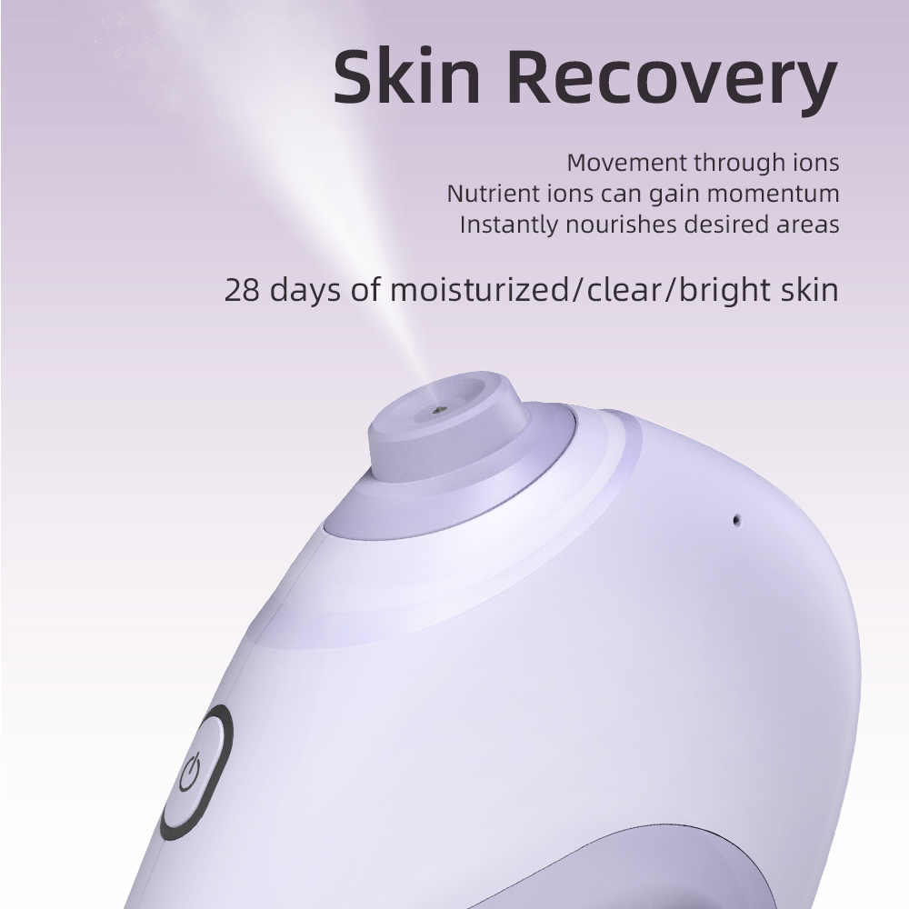 Nano Facial Sprayer Water Stea – обзор и цена Skincare Scora